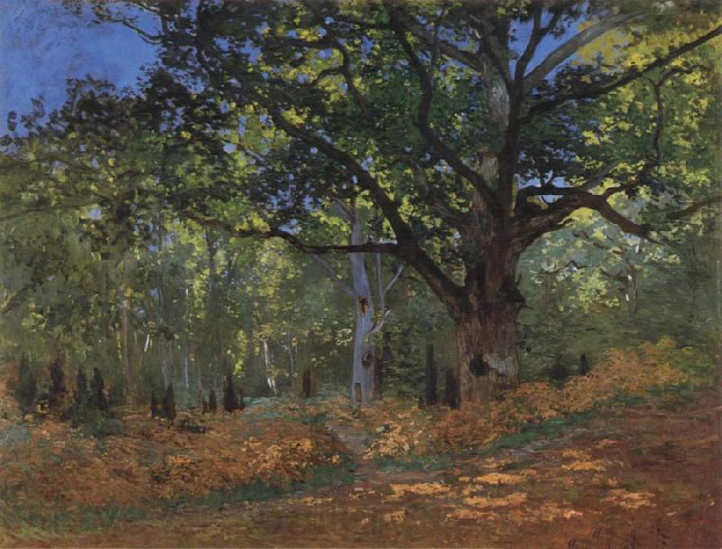 Claude Monet The Bodmer Oak,Forest of Fontainebleau France oil painting art